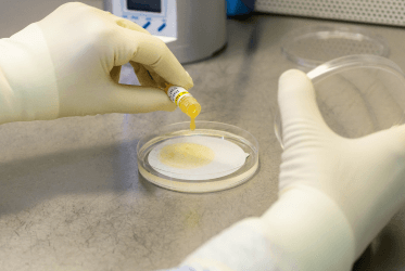 Innovative Scientific Approach